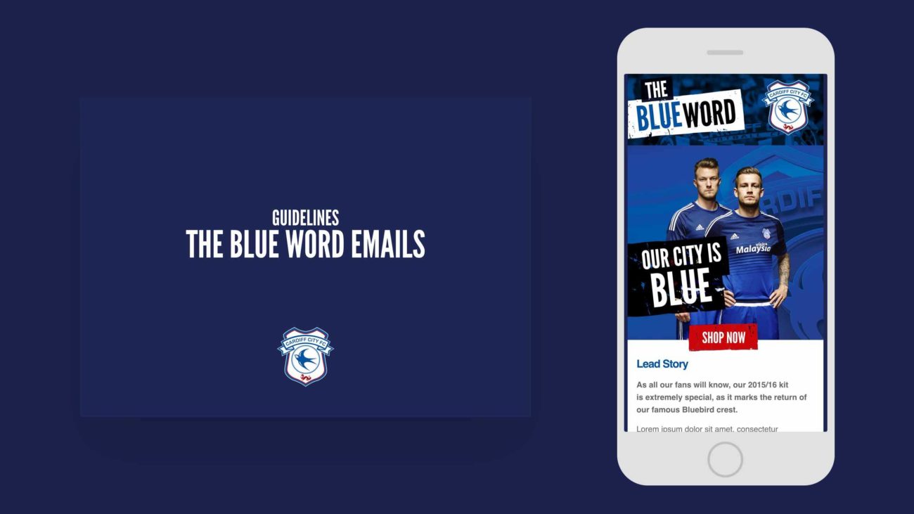 Ccfc Email 3